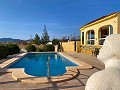 Beautiful Rural House with Pool in Pinoso in Real Estate Alicante