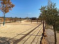 Beautiful Rural House with Pool in Pinoso in Real Estate Alicante