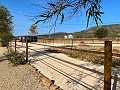 Beautiful Rural House with Pool in Pinoso in Real Estate Alicante