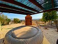 Beautiful Rural House with Pool in Pinoso in Real Estate Alicante