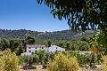 9 Bedroom Country Home in Real Estate Alicante