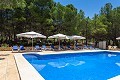 9 Bedroom Country Home in Real Estate Alicante