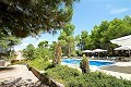 9 Bedroom Country Home in Real Estate Alicante