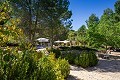 9 Bedroom Country Home in Real Estate Alicante