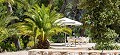 9 Bedroom Country Home in Real Estate Alicante