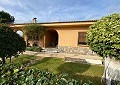 Unglaubliche 3-Schlafzimmer-Villa in Sax in Real Estate Alicante