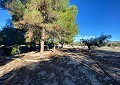  Landhuis in Sax met 28.000m2 Grondstuk in Real Estate Alicante