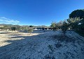  Landhuis in Sax met 28.000m2 Grondstuk in Real Estate Alicante