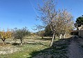 Landhuis in Sax met 28.000m2 Grondstuk in Real Estate Alicante
