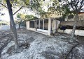  Landhuis in Sax met 28.000m2 Grondstuk in Real Estate Alicante