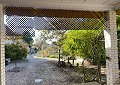  Landhuis in Sax met 28.000m2 Grondstuk in Real Estate Alicante