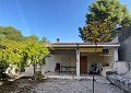 Landhuis in Sax met 28.000m2 Grondstuk in Real Estate Alicante