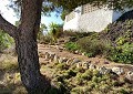 Villa in Sax mit unglaublicher Aussicht in Real Estate Alicante