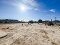 Charmante Villa met Zomerse Keuken en Gastenhuis op 15 Minuten van het Strand in Real Estate Alicante