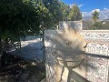 Fabulous Country Home with Private Pool in Real Estate Alicante