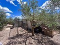Prachtige villa met zwembad in Hondon De Los Frailes in Real Estate Alicante