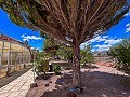 Prachtige villa met zwembad in Hondon De Los Frailes in Real Estate Alicante