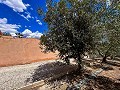 Prachtige villa met zwembad in Hondon De Los Frailes in Real Estate Alicante
