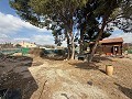 4 Bedroom 2 Bathroom Villa and 4 Bed 2 bath Wood built House for Sale in La Romana. in Real Estate Alicante