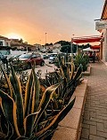 Fabulous Business Opportunity  in Real Estate Alicante
