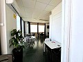 Fabulous Business Opportunity  in Real Estate Alicante