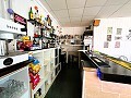 Fabulous Business Opportunity  in Real Estate Alicante