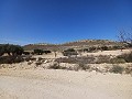 Lovely 3 Bedroom 2 Bathroom New build Villa land included in Pinoso. in Real Estate Alicante