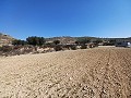 Lovely 3 Bedroom 2 Bathroom New build Villa land included in Pinoso. in Real Estate Alicante