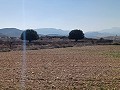 Lovely 3 Bedroom 2 Bathroom New build Villa land included in Pinoso. in Real Estate Alicante