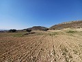 Lovely 3 Bedroom 2 Bathroom New build Villa land included in Pinoso. in Real Estate Alicante