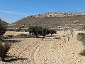 Lovely 3 Bedroom 2 Bathroom New build Villa land included in Pinoso. in Real Estate Alicante