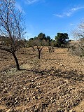 Magnifique ferme équestre hors réseau à Almansa in Real Estate Alicante