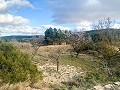 Magnifique ferme équestre hors réseau à Almansa in Real Estate Alicante