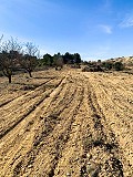 Magnifique ferme équestre hors réseau à Almansa in Real Estate Alicante