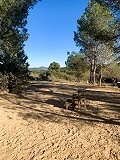 Magnifique ferme équestre hors réseau à Almansa in Real Estate Alicante