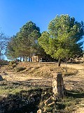 Magnifique ferme équestre hors réseau à Almansa in Real Estate Alicante