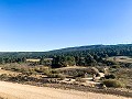 Magnifique ferme équestre hors réseau à Almansa in Real Estate Alicante