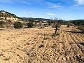 Magnifique ferme équestre hors réseau à Almansa in Real Estate Alicante