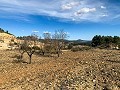 Magnifique ferme équestre hors réseau à Almansa in Real Estate Alicante