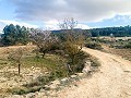 Magnifique ferme équestre hors réseau à Almansa in Real Estate Alicante