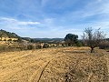 Magnifique ferme équestre hors réseau à Almansa in Real Estate Alicante