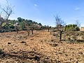 Magnifique ferme équestre hors réseau à Almansa in Real Estate Alicante