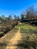 Magnifique ferme équestre hors réseau à Almansa in Real Estate Alicante