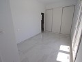 Neubauvillen in Pinoso mit Pool und Grundstück in Real Estate Alicante