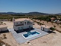 Neubauvillen in Pinoso mit Pool und Grundstück in Real Estate Alicante