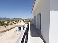 Neubauvillen in Pinoso mit Pool und Grundstück in Real Estate Alicante