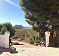 Exclusiva Villa Off-Grid en lo Alto de la Montaña en Villena in Real Estate Alicante