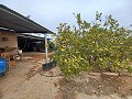 Maison de campagne à vendre près de La Romana in Real Estate Alicante