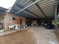 Maison de campagne à vendre près de La Romana in Real Estate Alicante