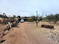 Maison de campagne à vendre près de La Romana in Real Estate Alicante